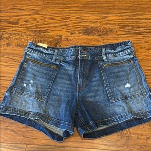 KUT from the Kloth Denim Jane High Rise Shorts